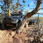 Toyota Tacoma 1/10 - Image 11