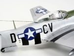 P-51D MUSTANG - Image 6
