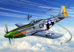 P-51D MUSTANG - Image 3