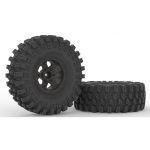 Crawling kit - NT4 1/10 RTR Kit (grey) - Image 10