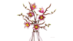 Botanicals Ramos de Magnólia - Image 2