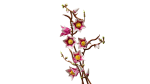 Botanicals Ramos de Magnólia - Image 4