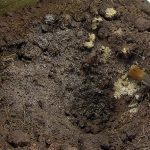 Terrains Muddy Ground 250ml - Image 2
